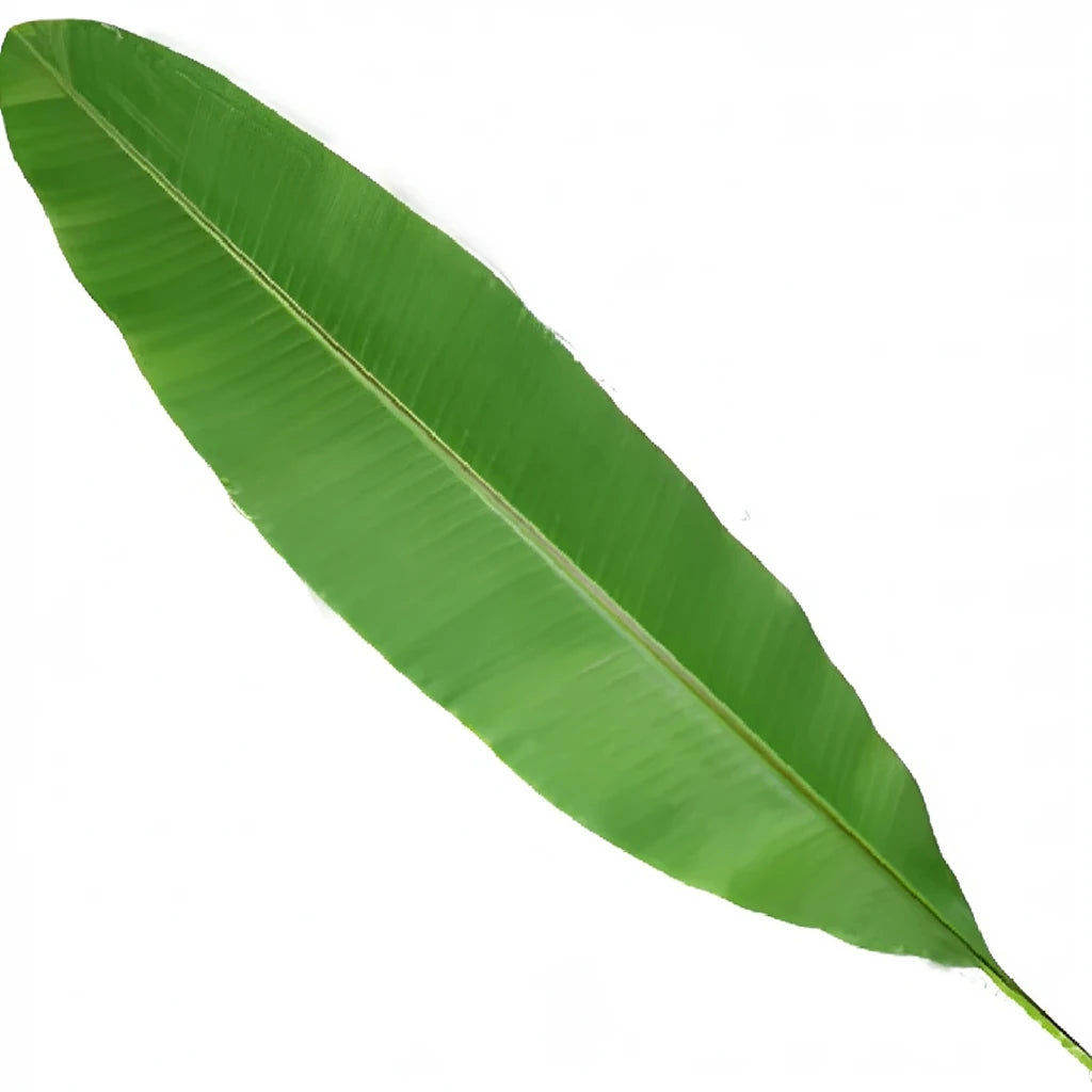 Banana Leaf Greenery - alternative 1