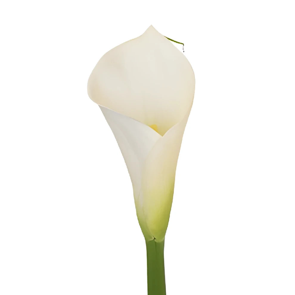 White Calla Lily Standard - alternative 1