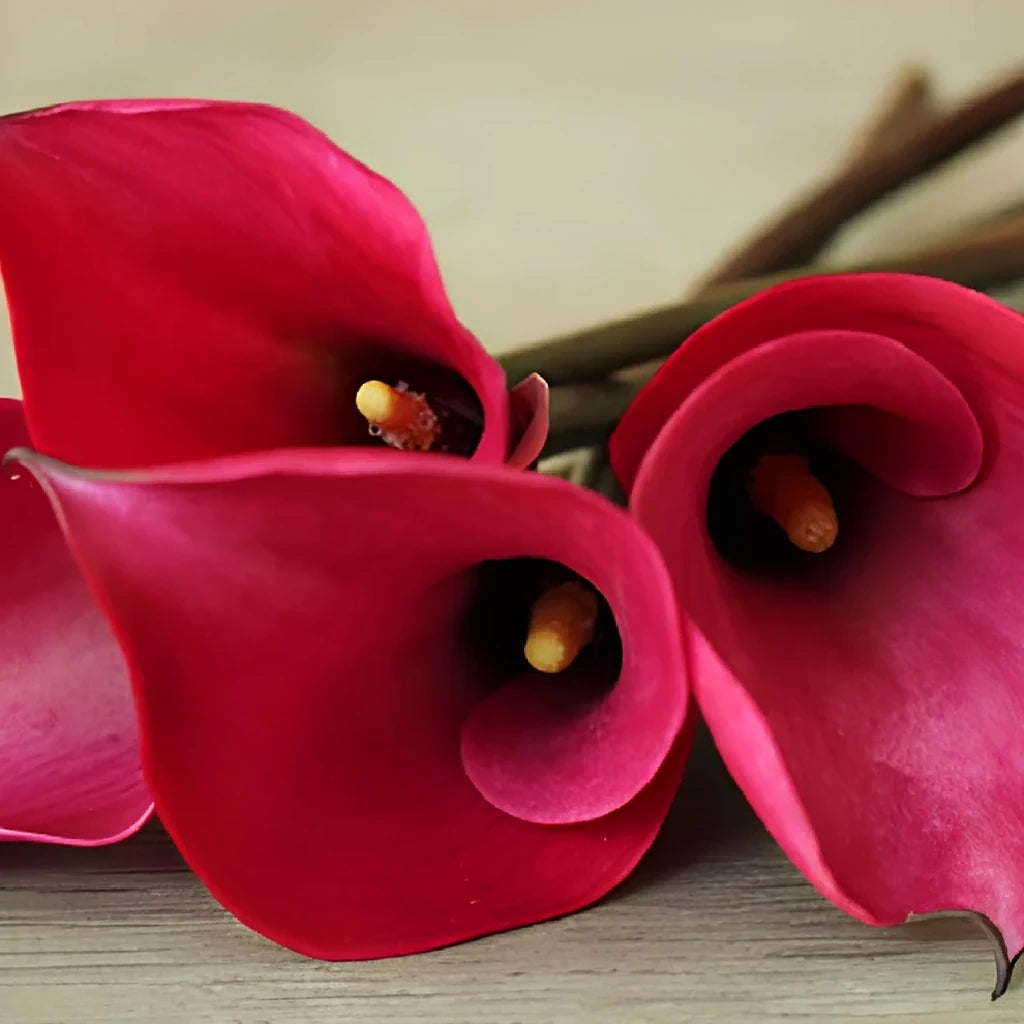 Alegria Calla Lily Mini - alternative 2