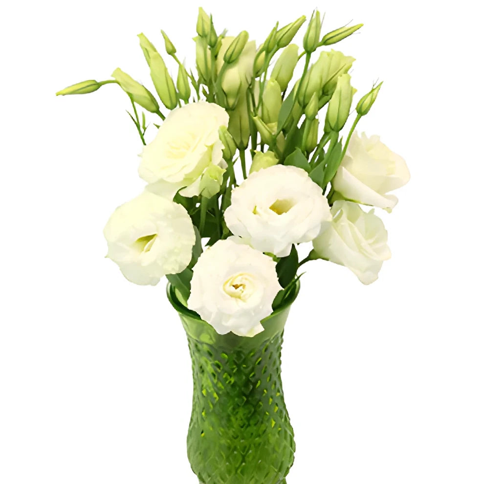 White Lisianthus - alternative 1