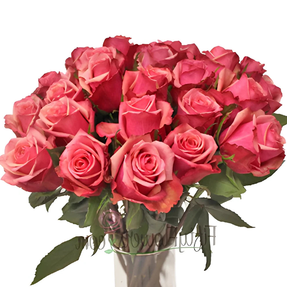 Murano Roses Standard - main