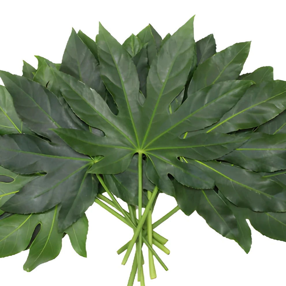Aralia Greenery - alternative 3