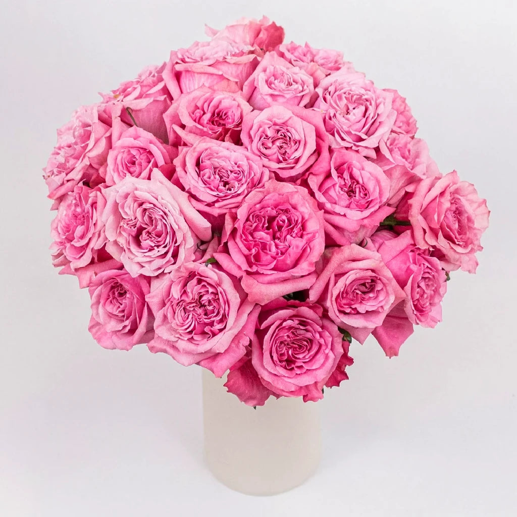 Art Deco Roses Standard - alternative 2
