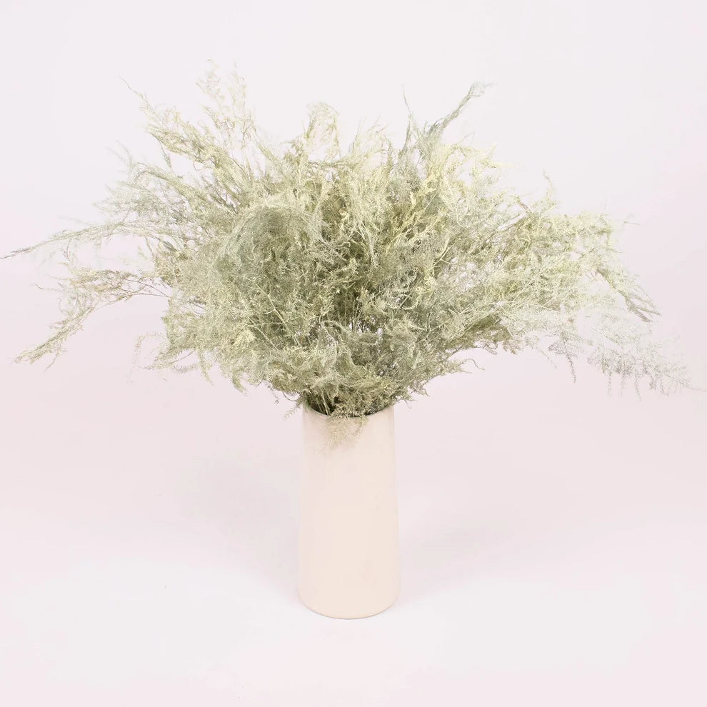 Asparagus Dried - alternative 1