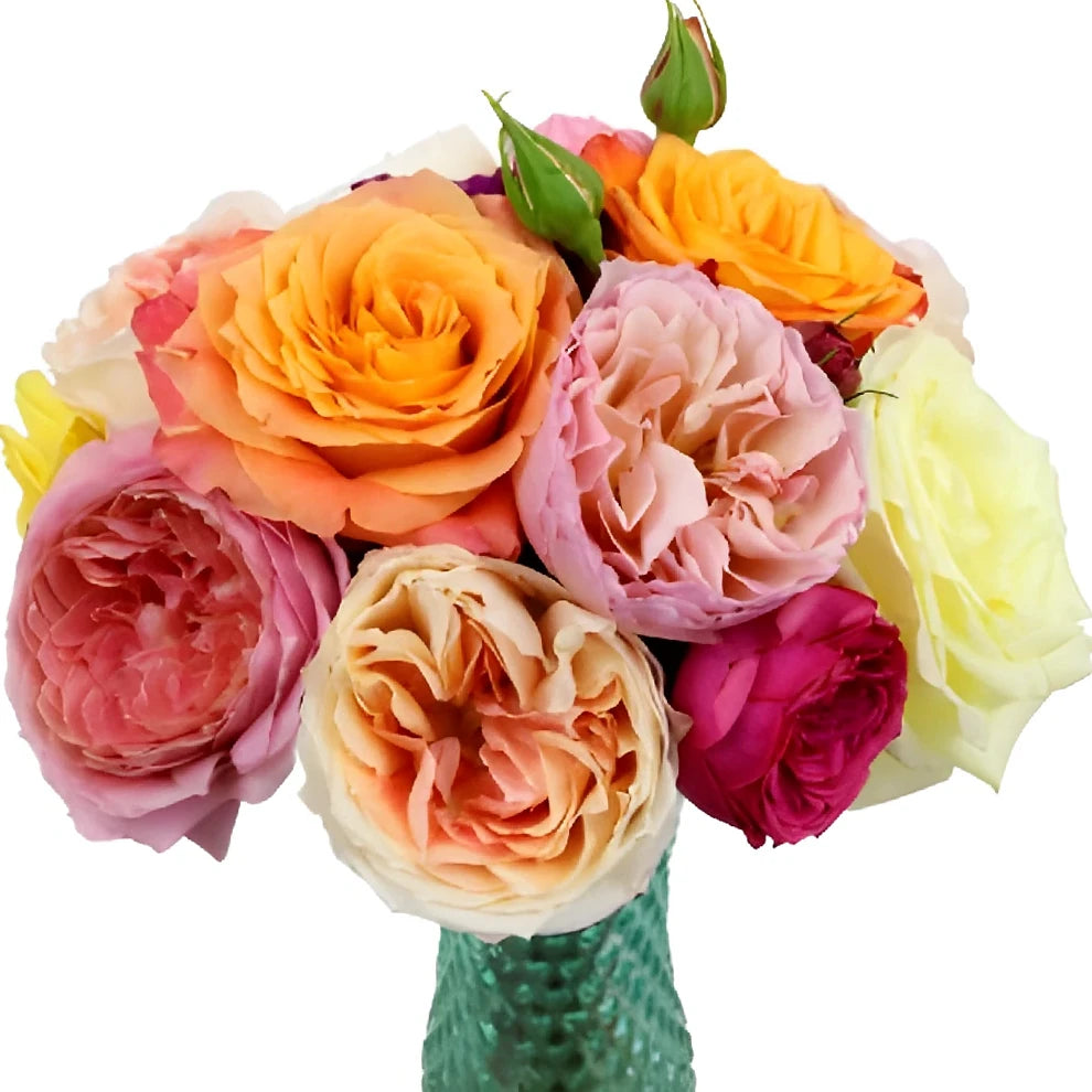 Mday Mix Roses Garden - main