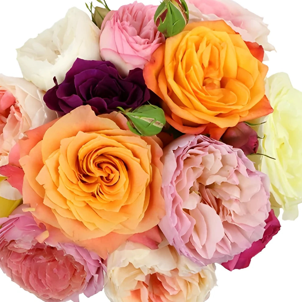 Mday Mix Roses Garden - alternative 1
