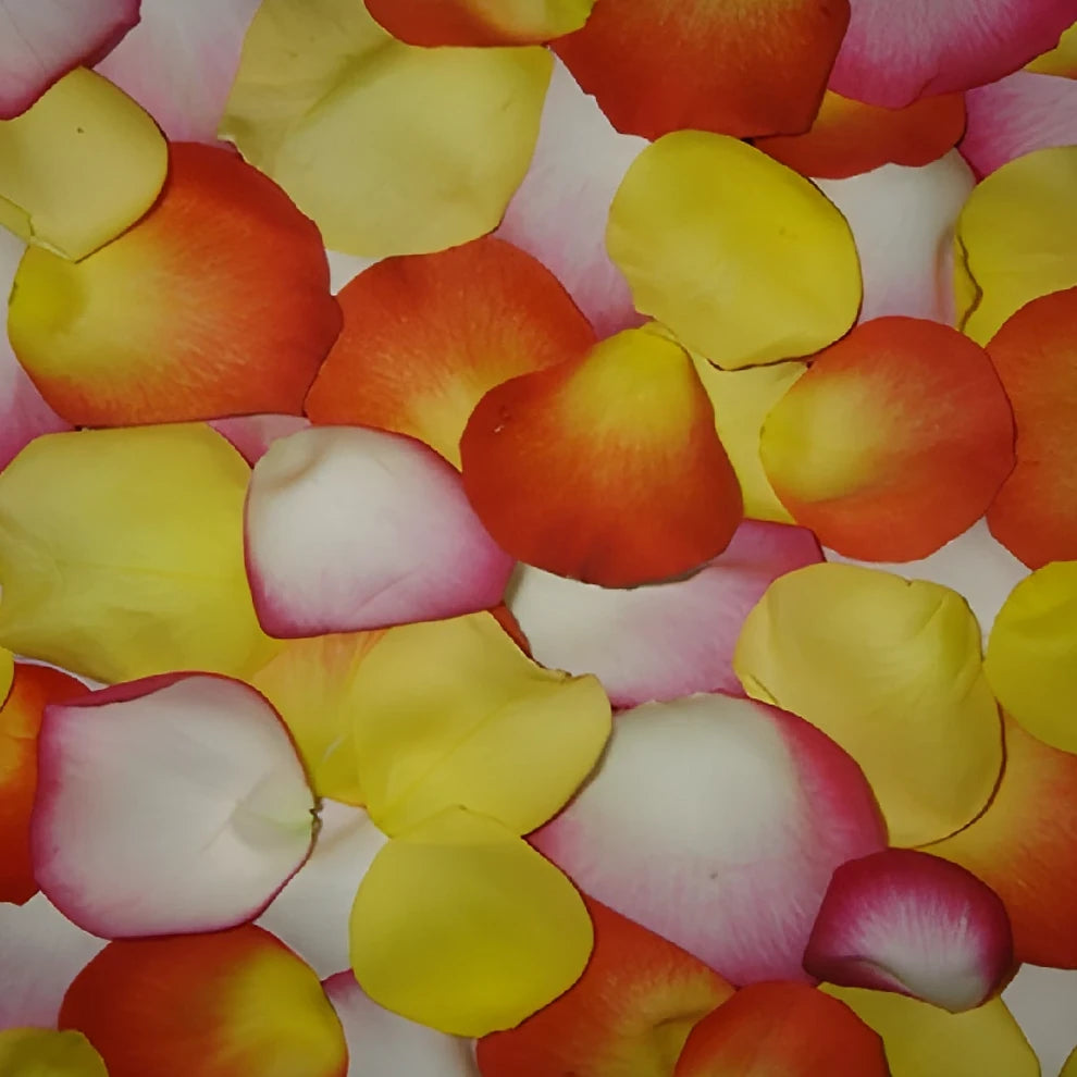 Assorted Rose Petals - main