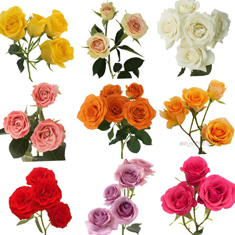 Assorted Roses Spray - main