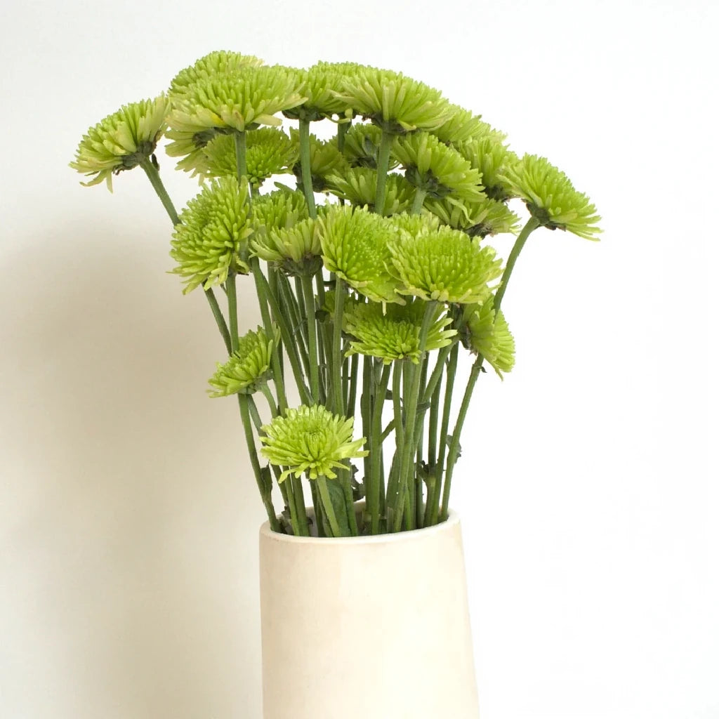 Athos Pom Button - alternative 1