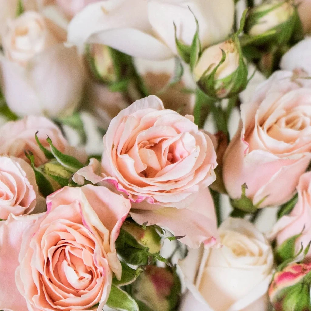 Bali Roses Spray - alternative 1