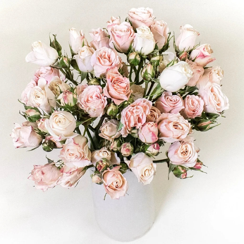 Bali Roses Spray - main
