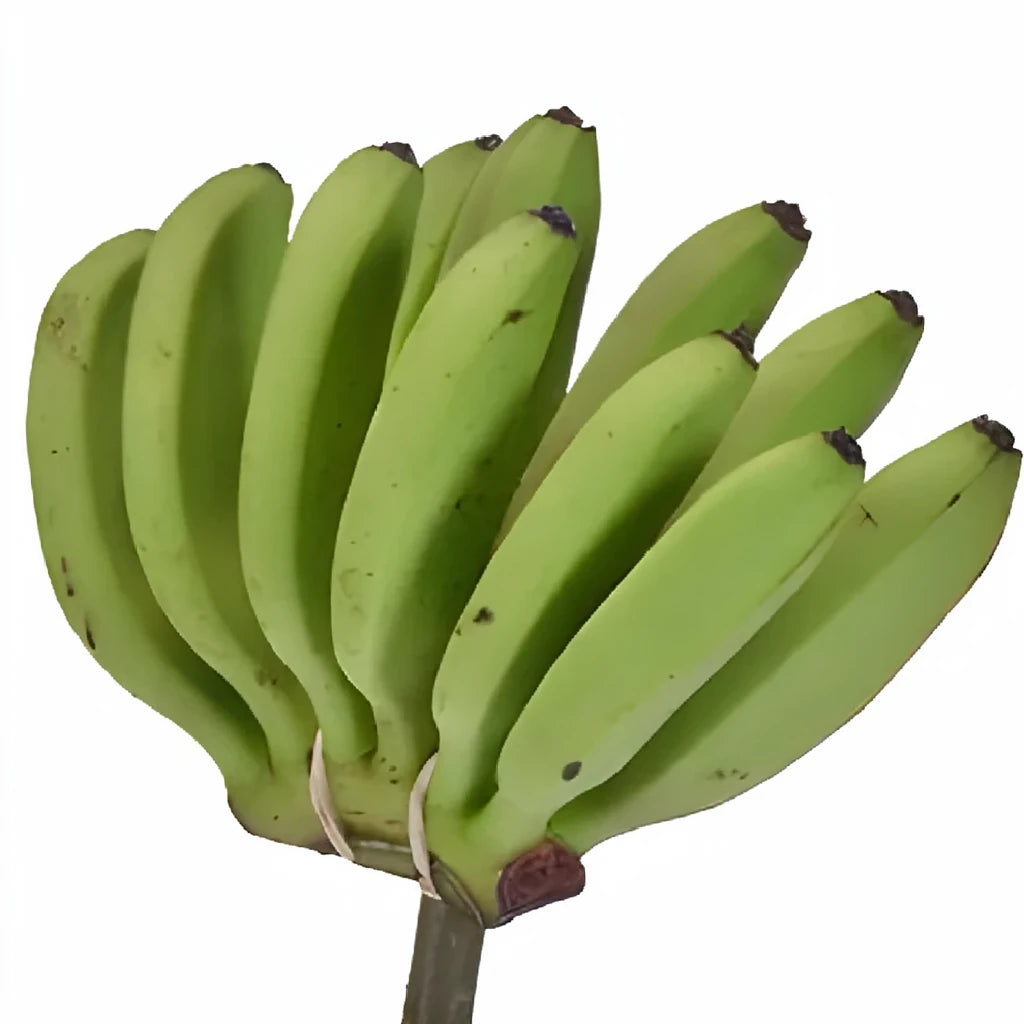 Mini Bananas Tropicals - main