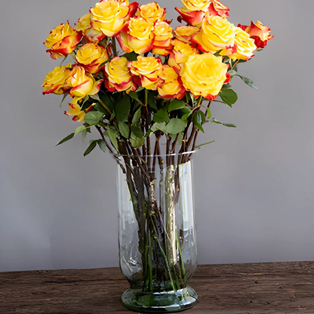 High & Flame Roses Standard - alternative 2