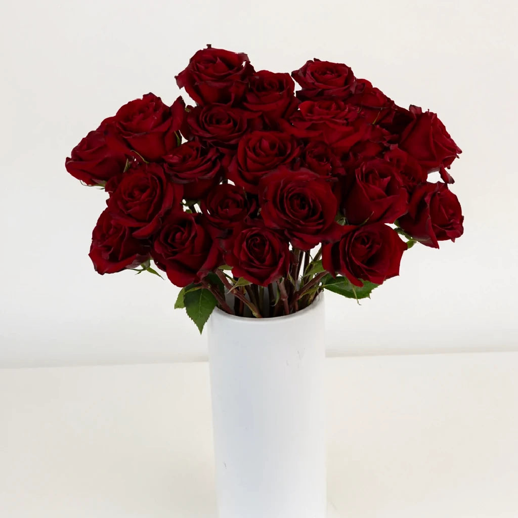 Black Pearl Roses Standard - alternative 2