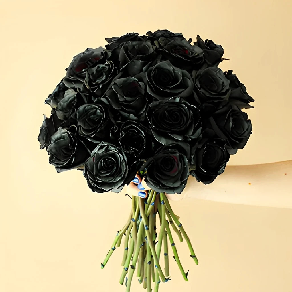 Black Finess Roses Standard - alternative 1
