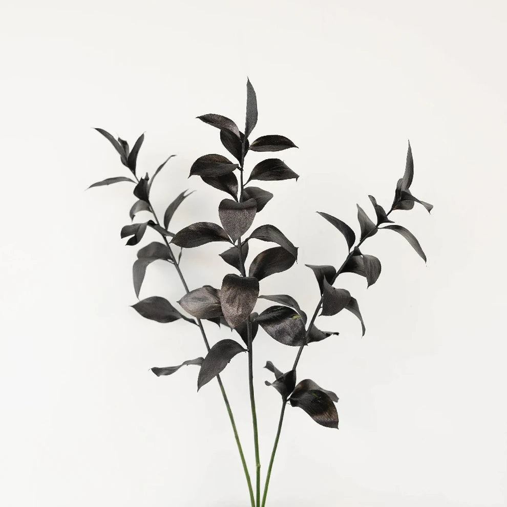 Tinted Ruscus Greenery - main