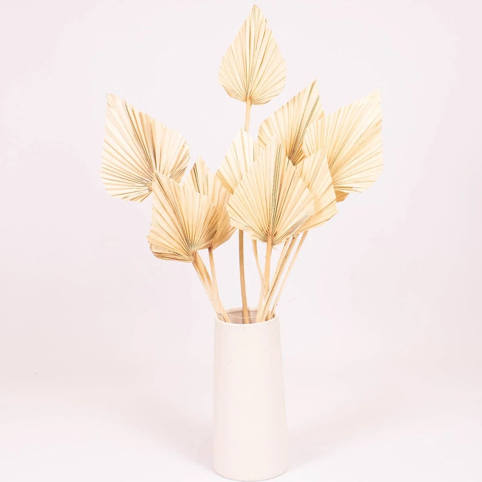 Palm Spears Dried - main