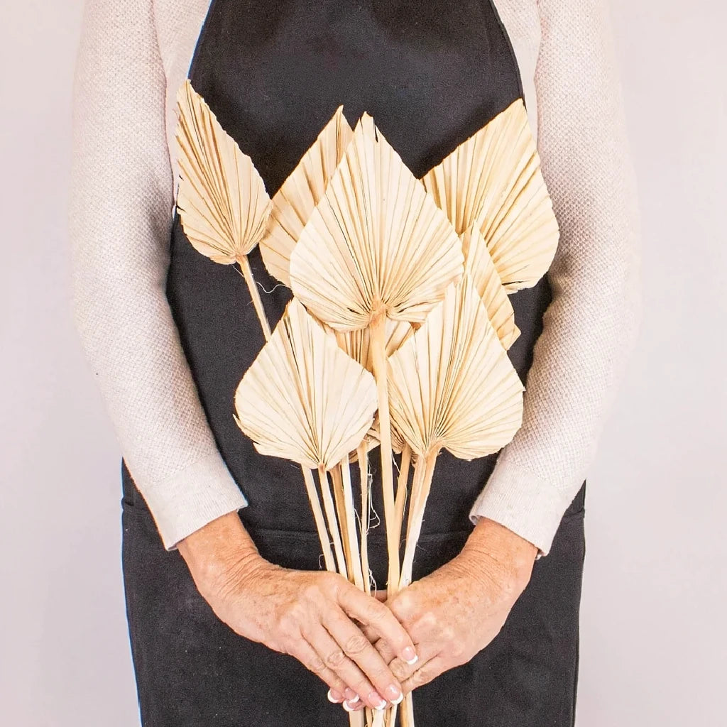 Palm Spears Dried - alternative 2