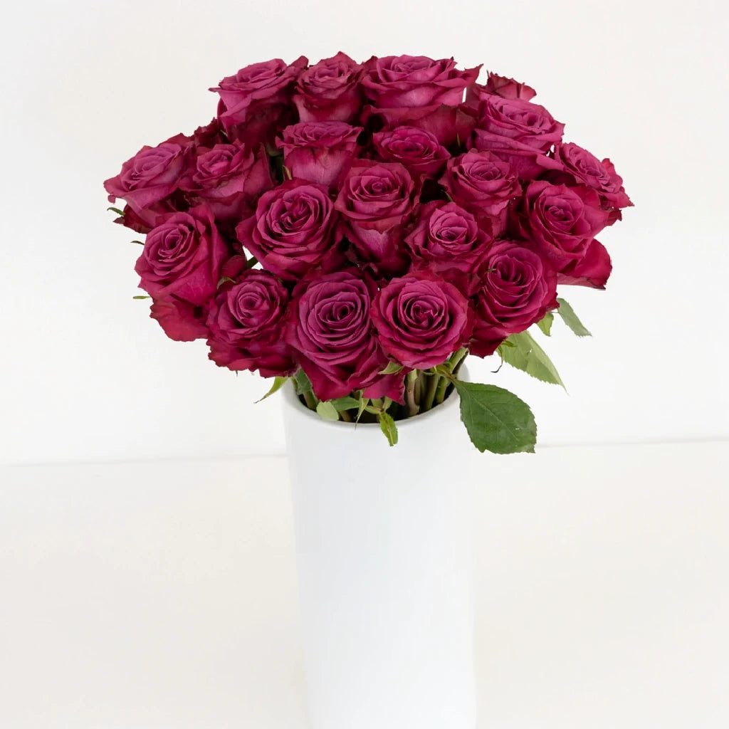 Blueberry Roses Standard - main