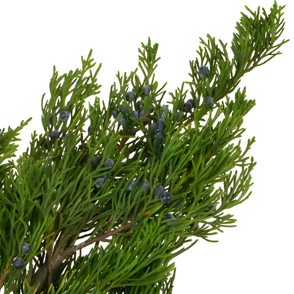 Blue Berry Cedar Greenery - alternative 3