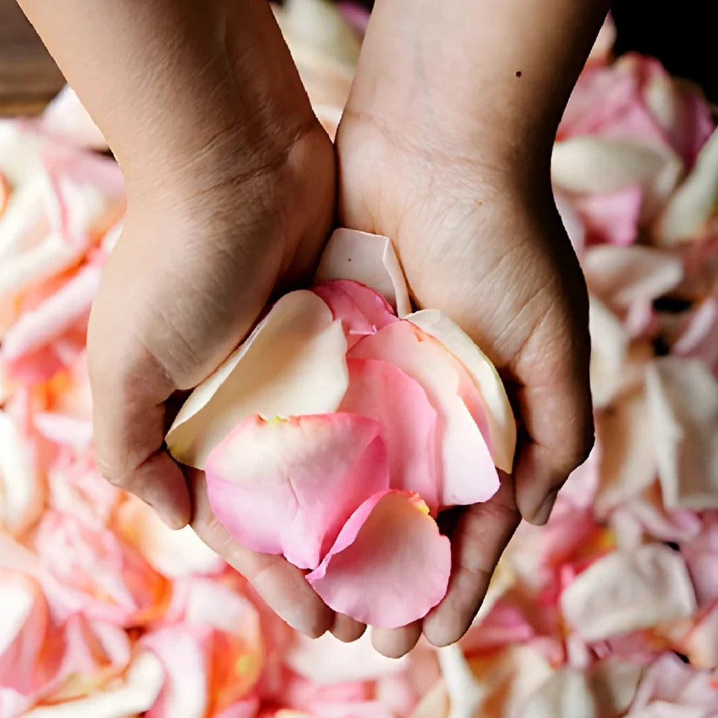 Blush Rose Petals - main