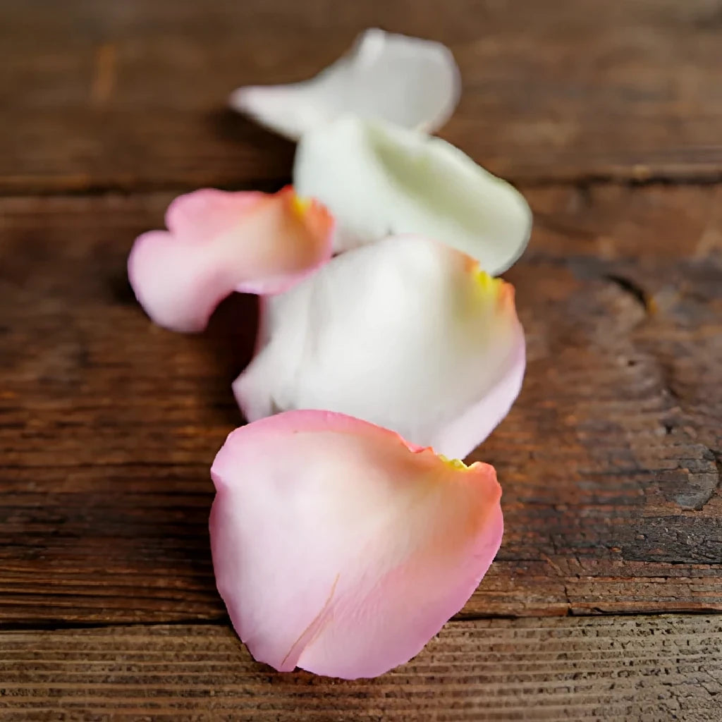 Blush Rose Petals - alternative 1
