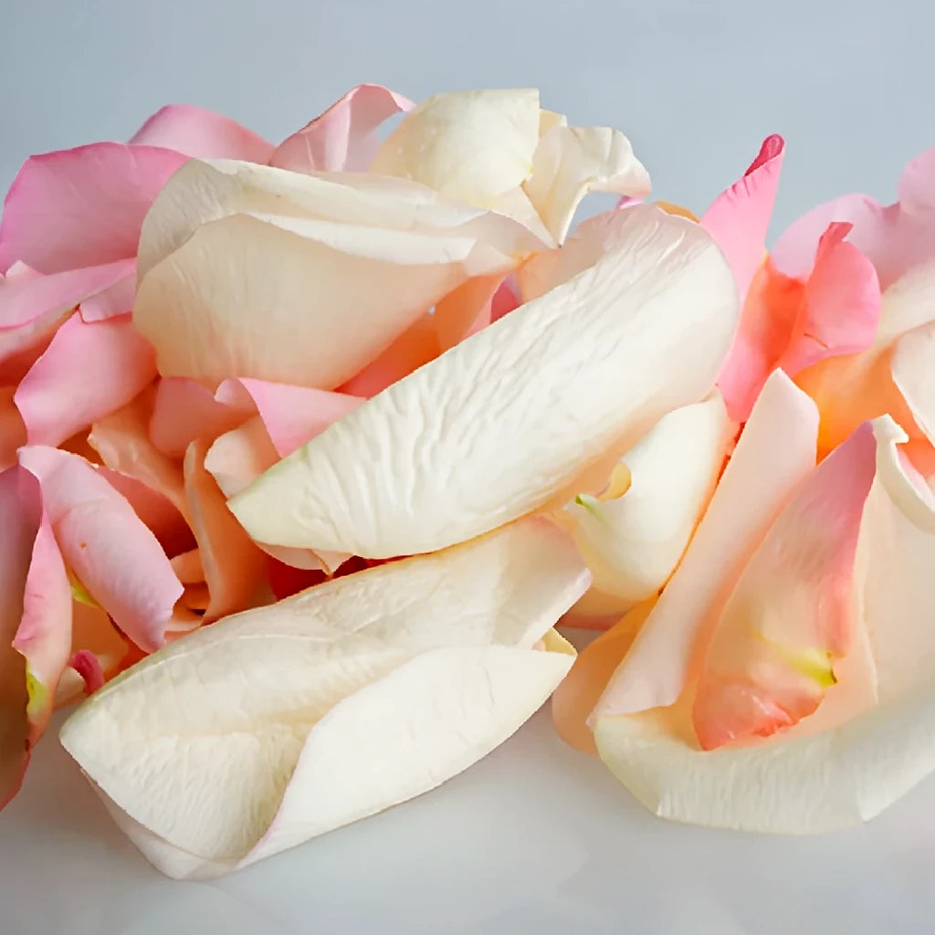 Blush Rose Petals - alternative 3