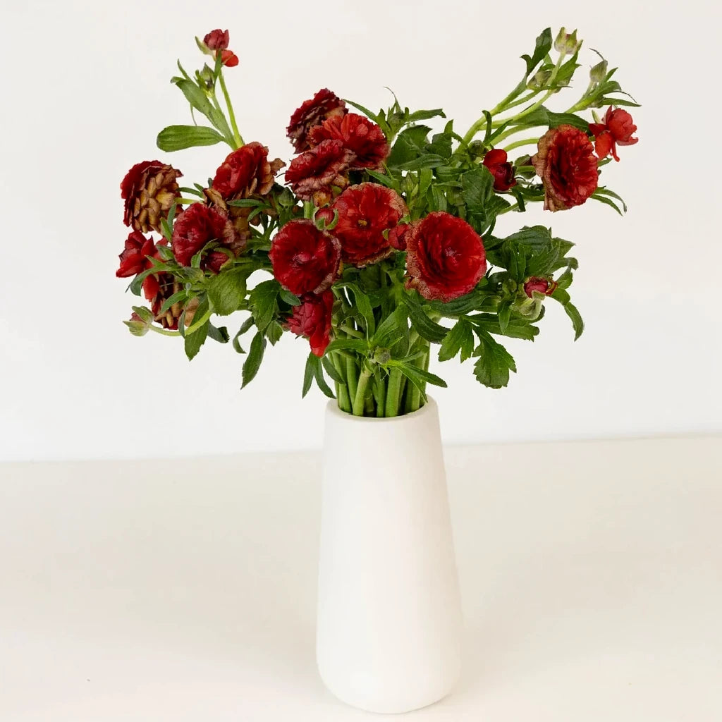 Red Butterfly Ranunculus - Red - alternative 2