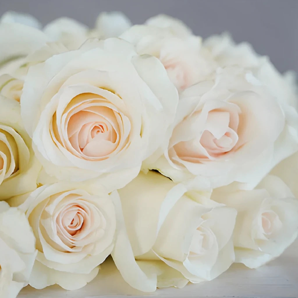 Bridal Akito Roses Standard - alternative 1
