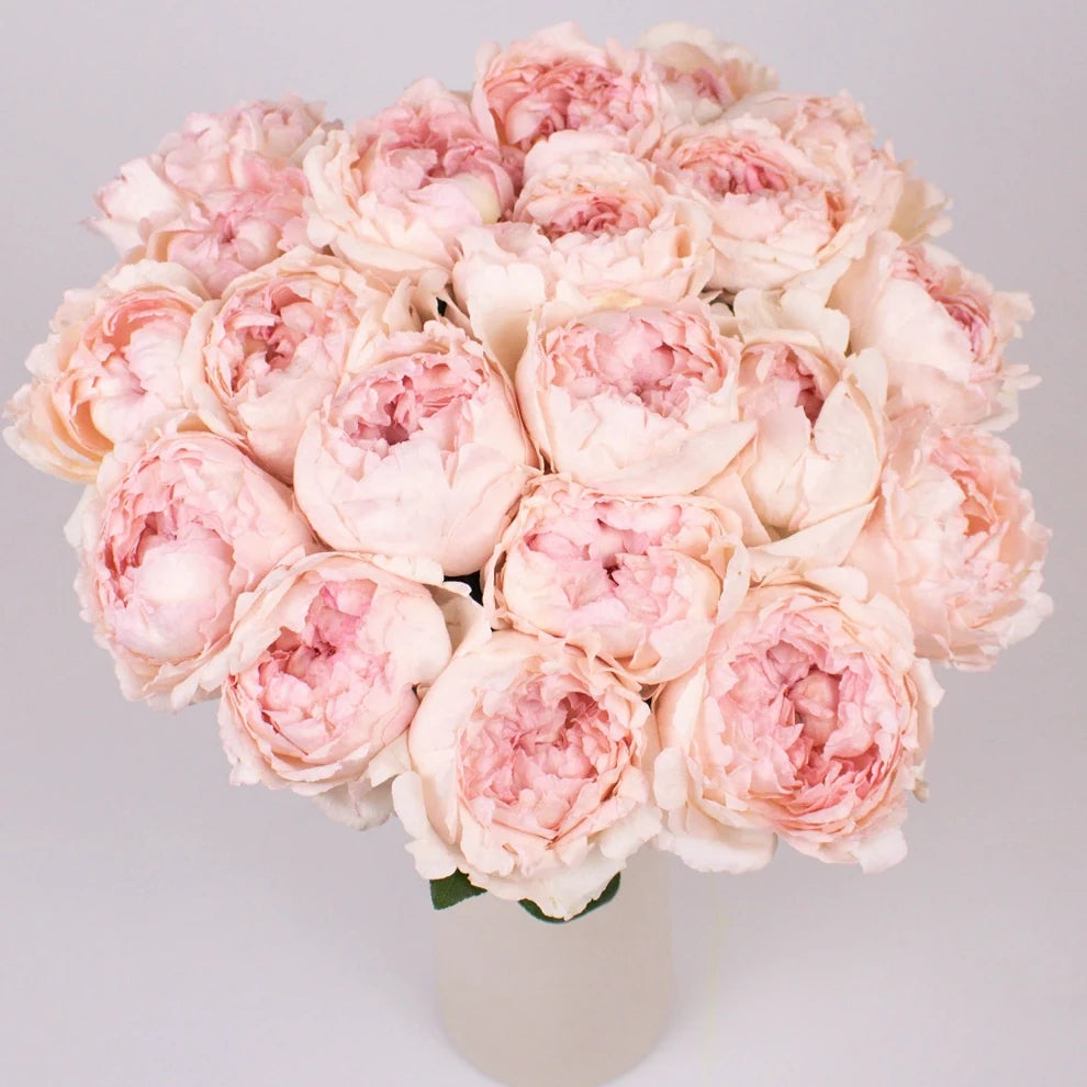 Bridal Tiara Roses Garden - alternative 3