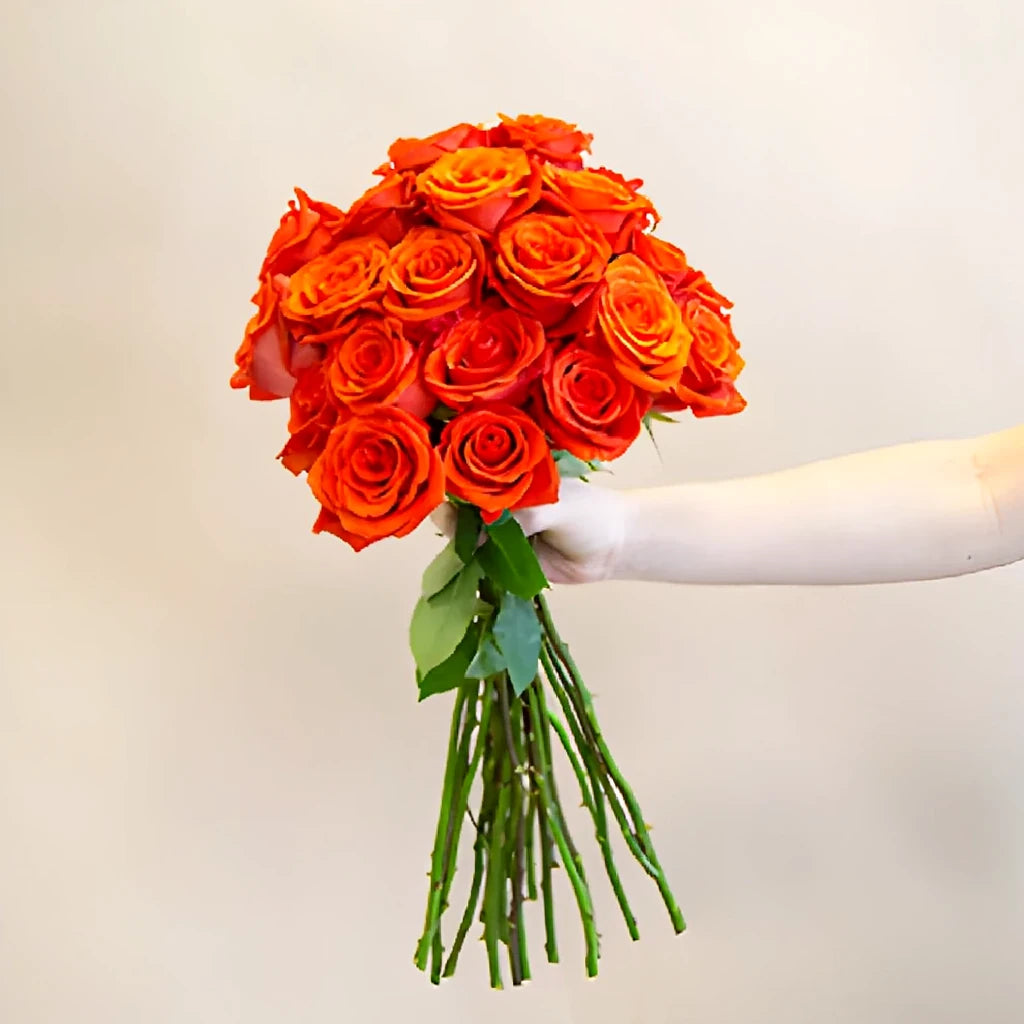 Santana Roses Standard - alternative 3