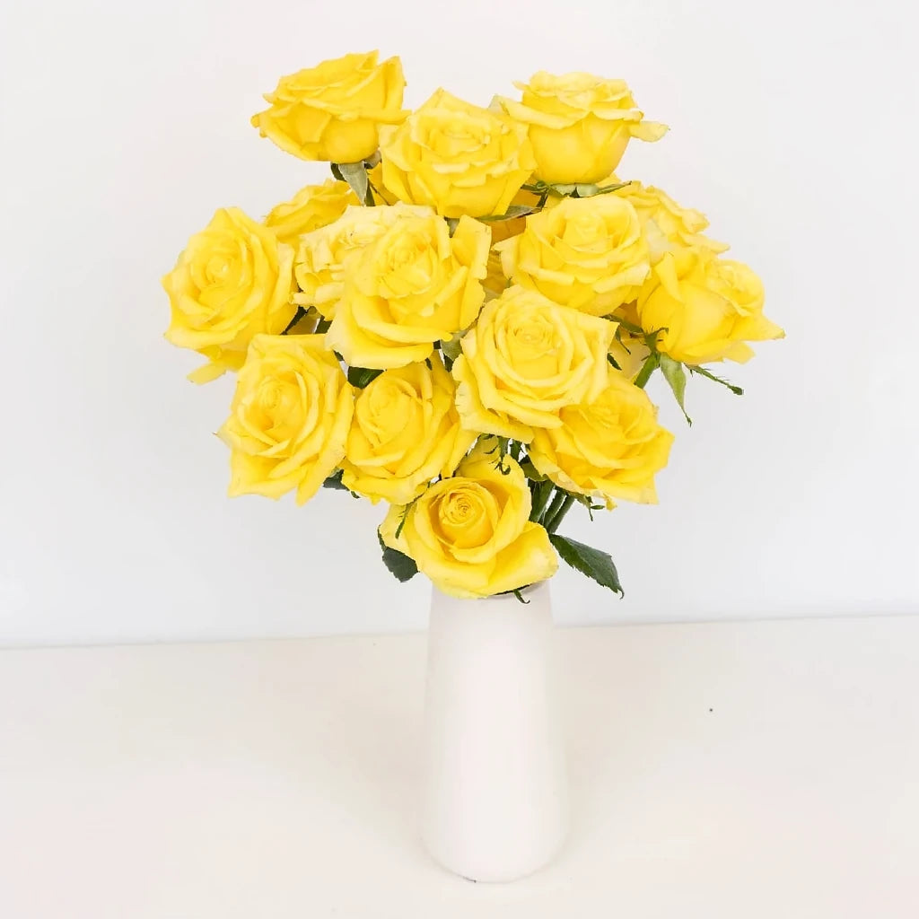Super Sun Roses Standard - alternative 2