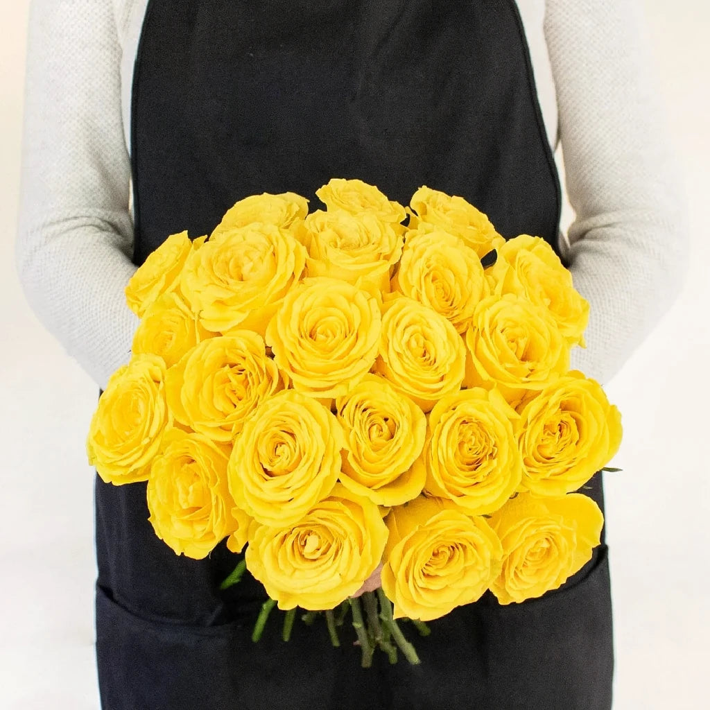 Brighton Roses Standard - main