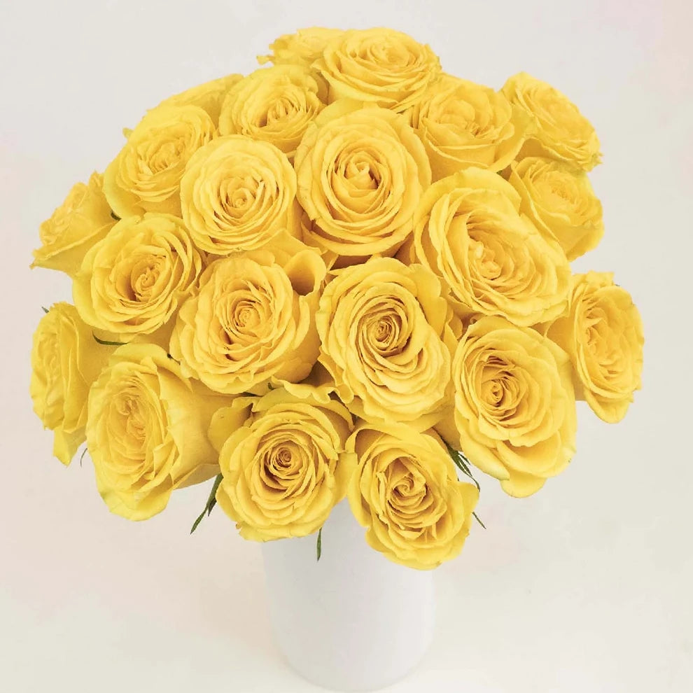 Yellow Deja Vu Roses Standard - alternative 2