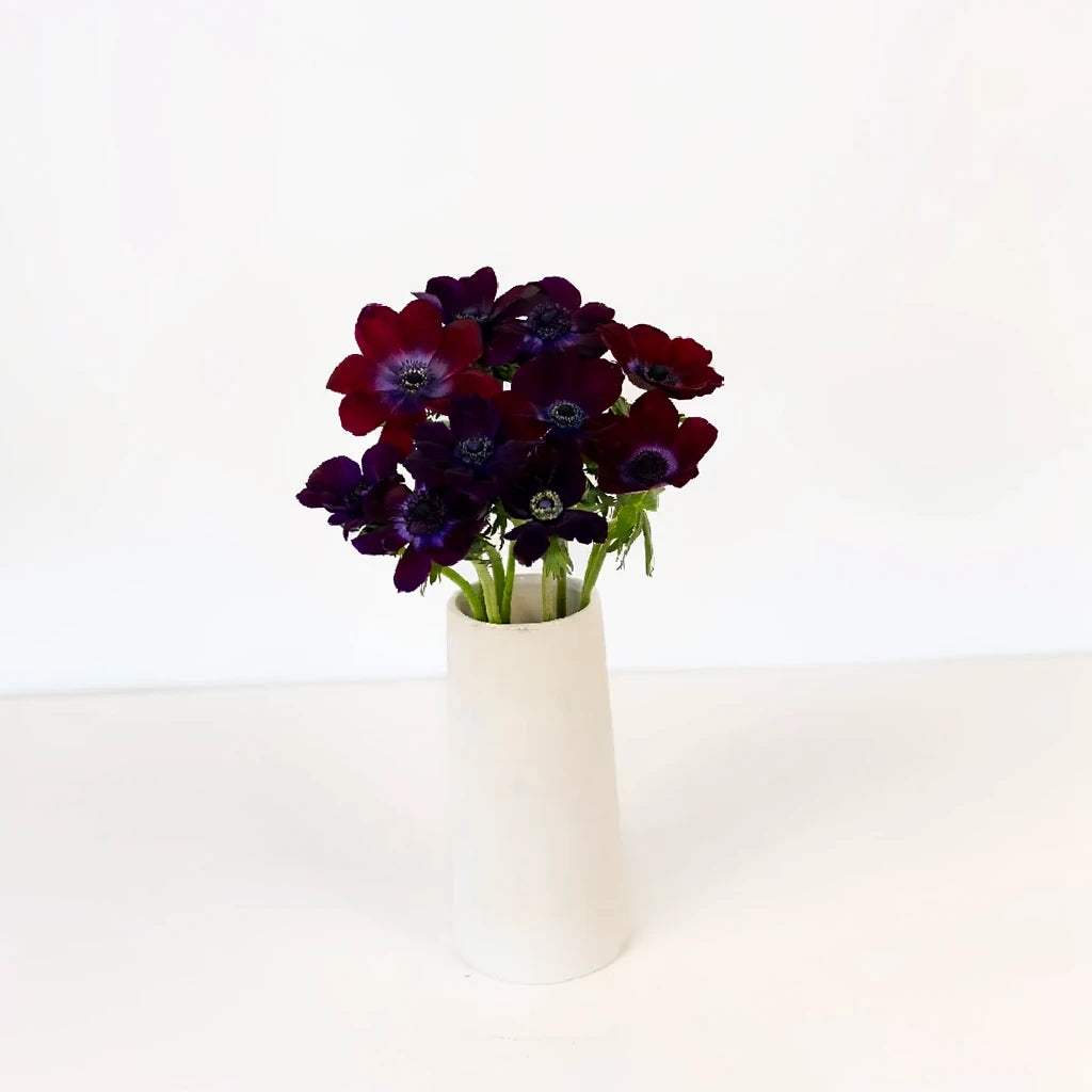 Burgundy Anemones - main