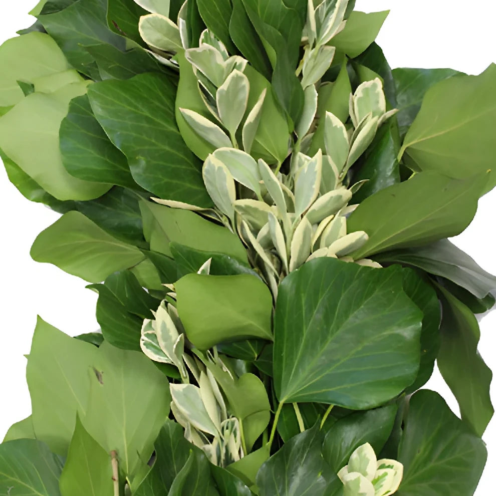 Bush Ivy & Euonymus Garland - alternative 2