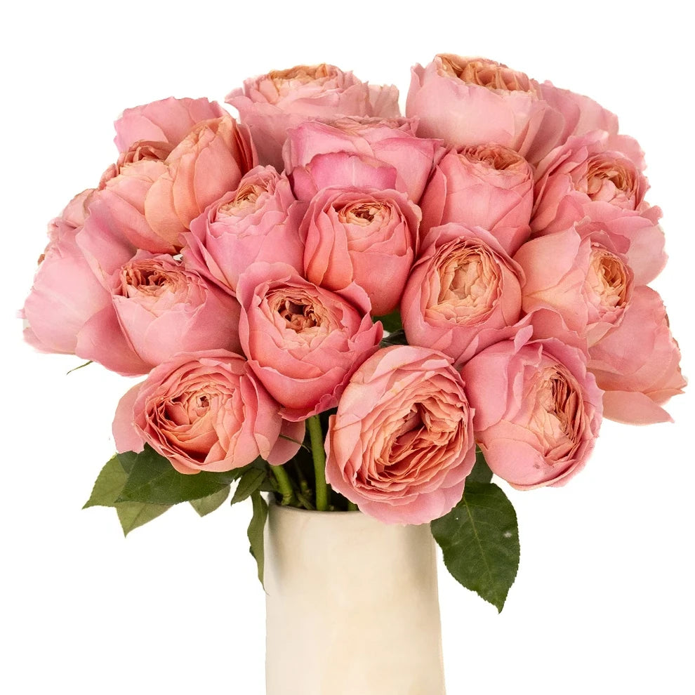 Romantic Antike Roses Garden - alternative 2