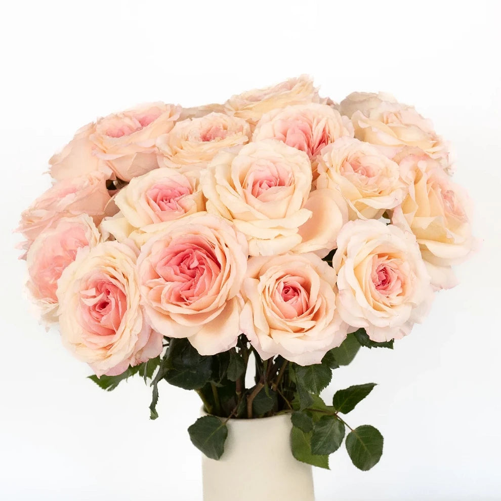 Mayra's Bridal Pink Roses Garden - alternative 2
