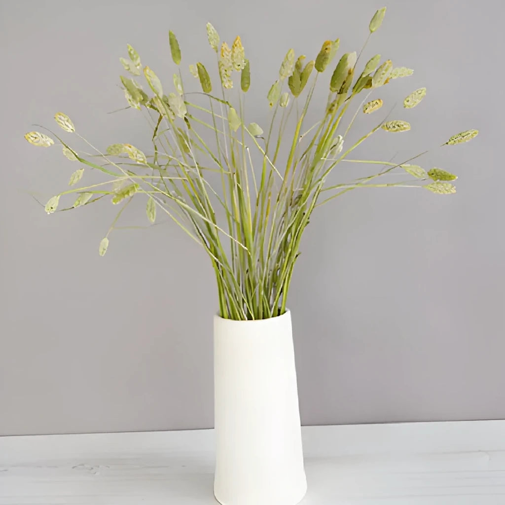 Canary Grass Greenery - alternative 2