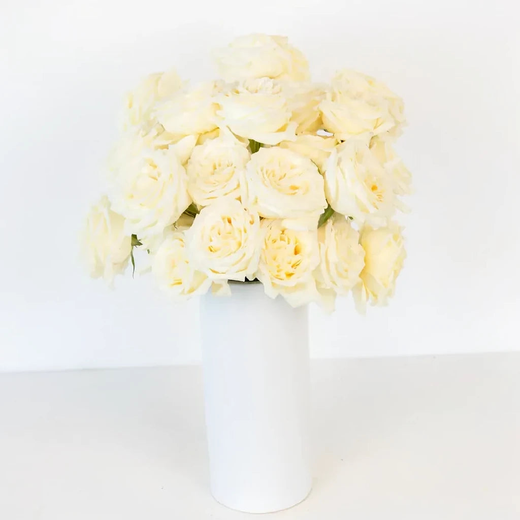 Candlelight Roses Standard - alternative 2