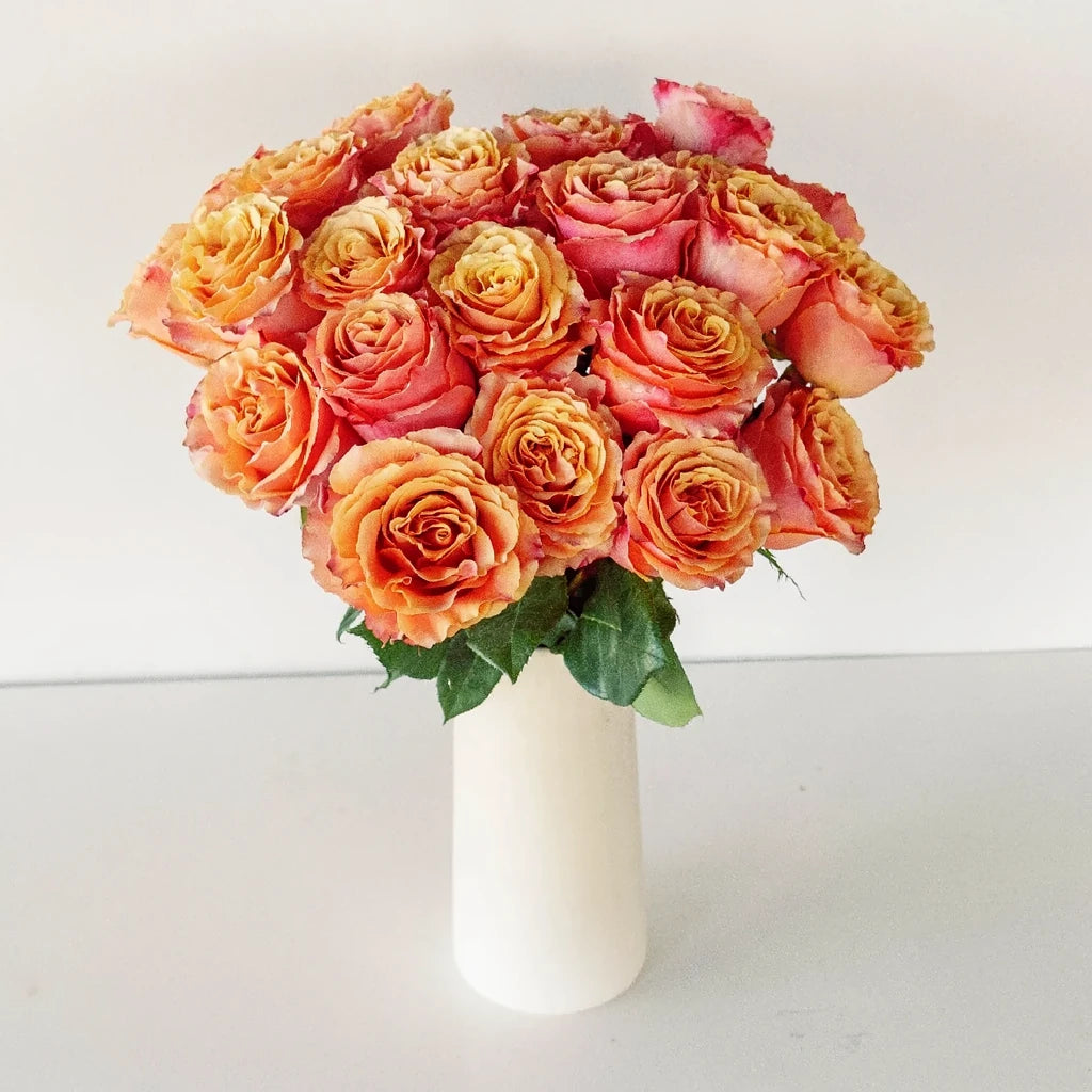 Carpe Diem Roses Standard - alternative 1