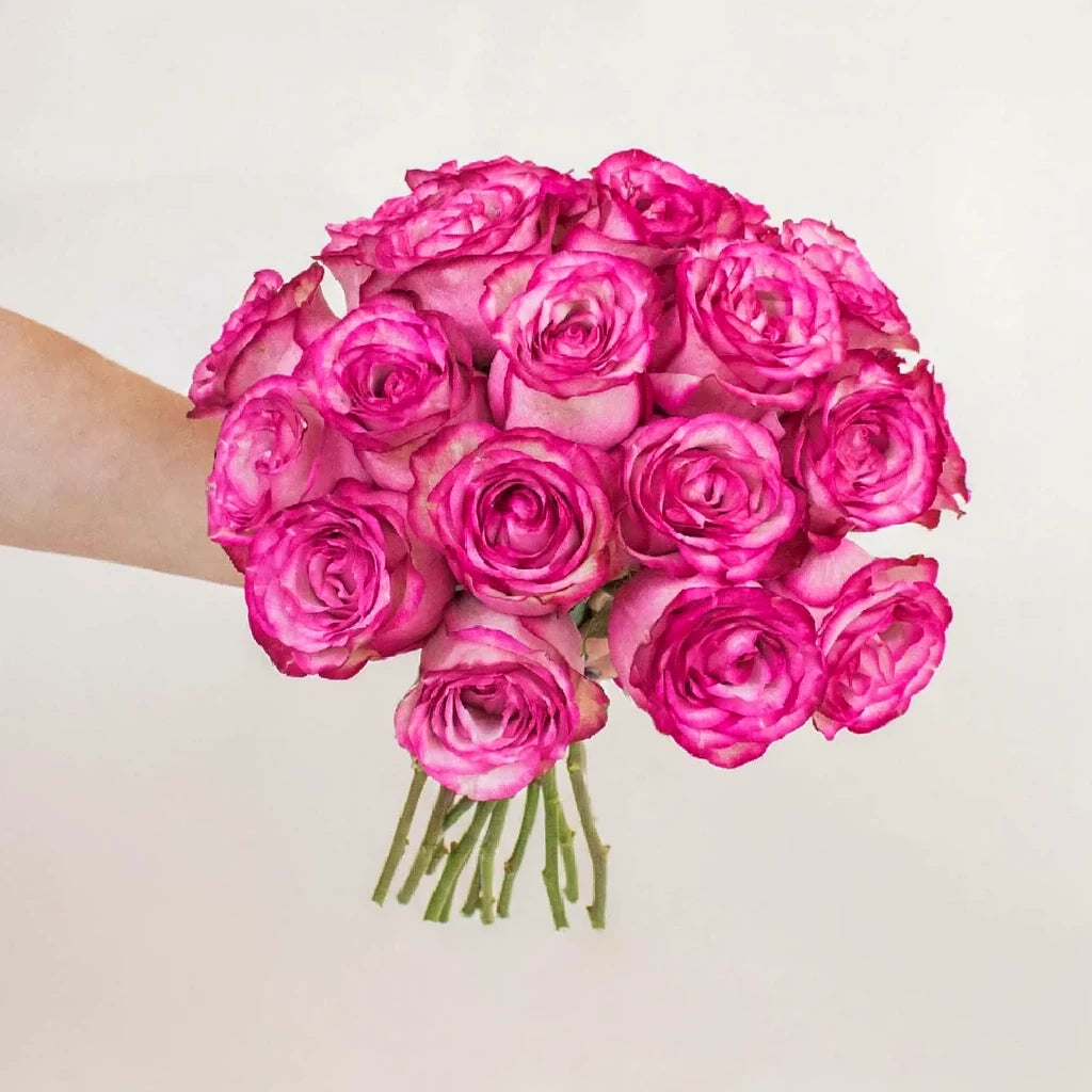 Duett Roses Standard - alternative 1
