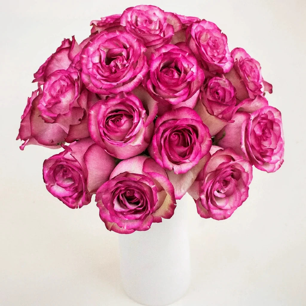 Carrousel Roses Standard - alternative 1