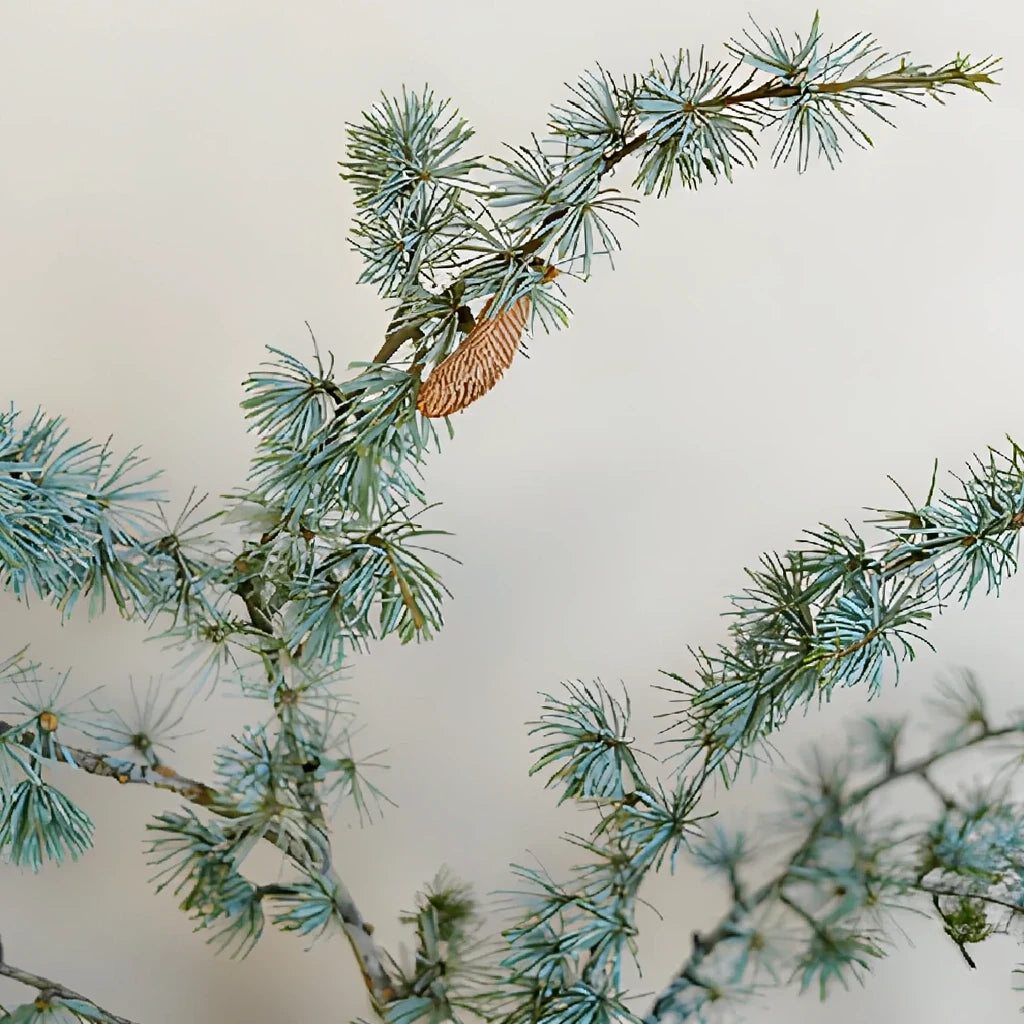 Cedar Blue Atlas Greenery - alternative 1