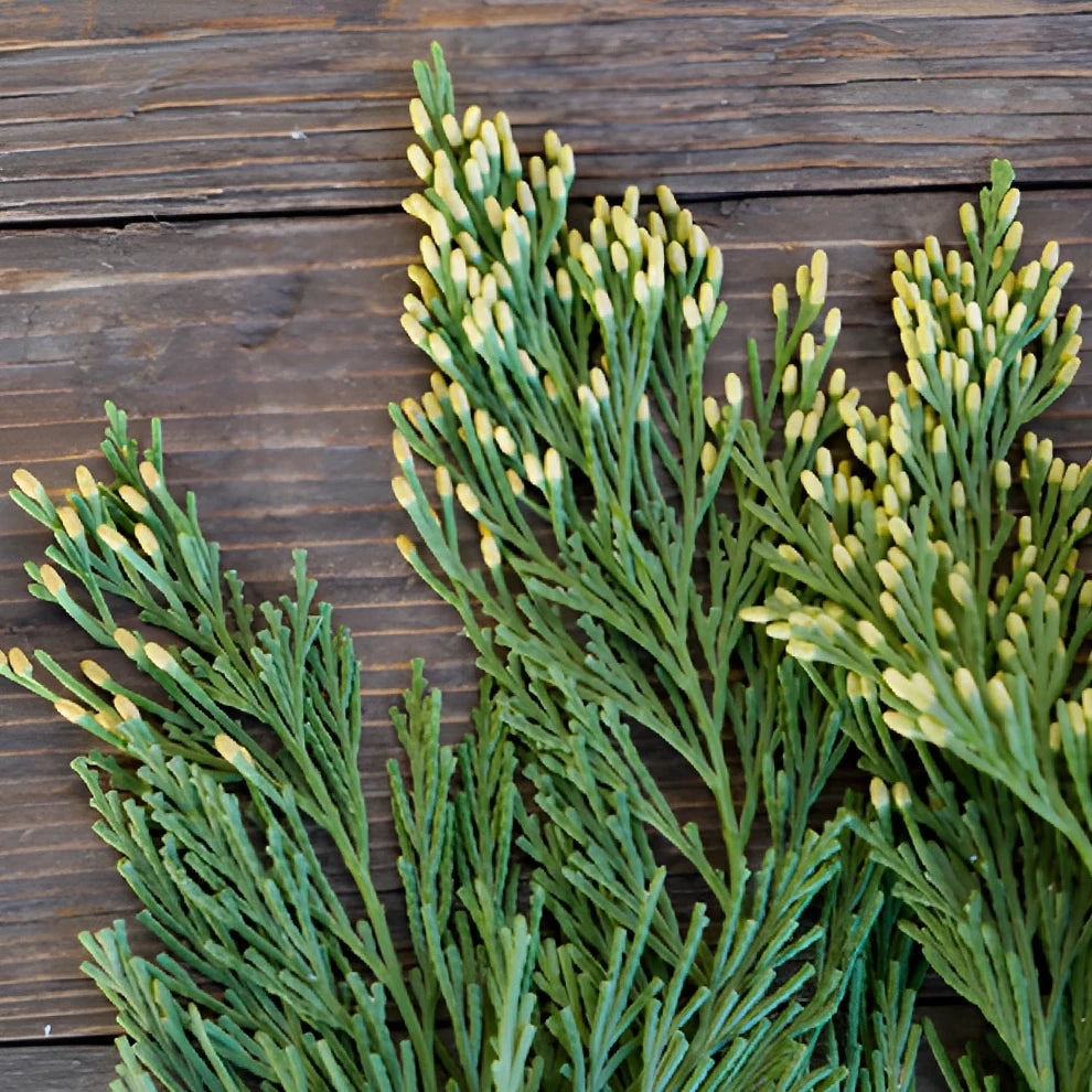 Gold Tip Cedar Greenery - main