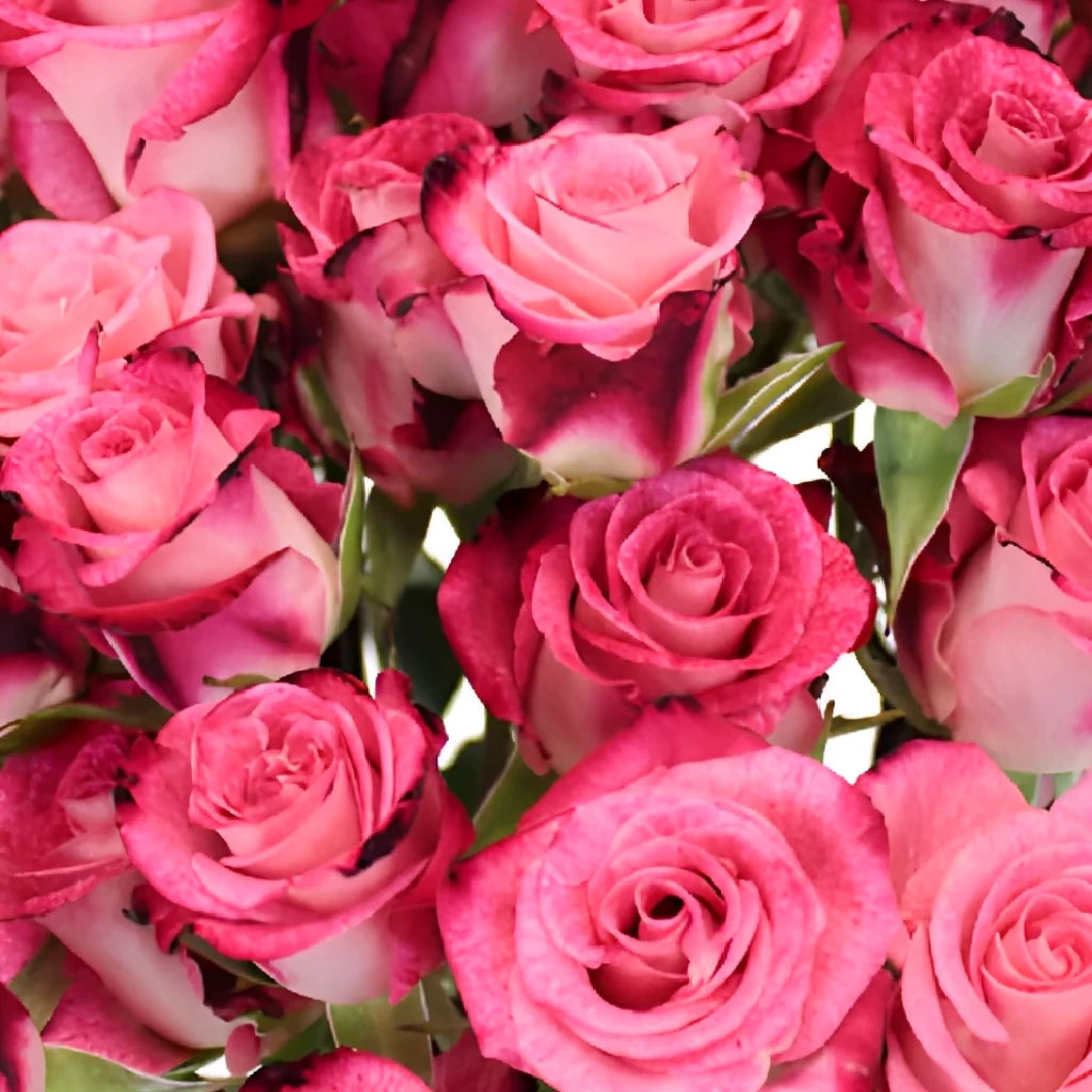 Cherry Folies Roses Spray - alternative 2