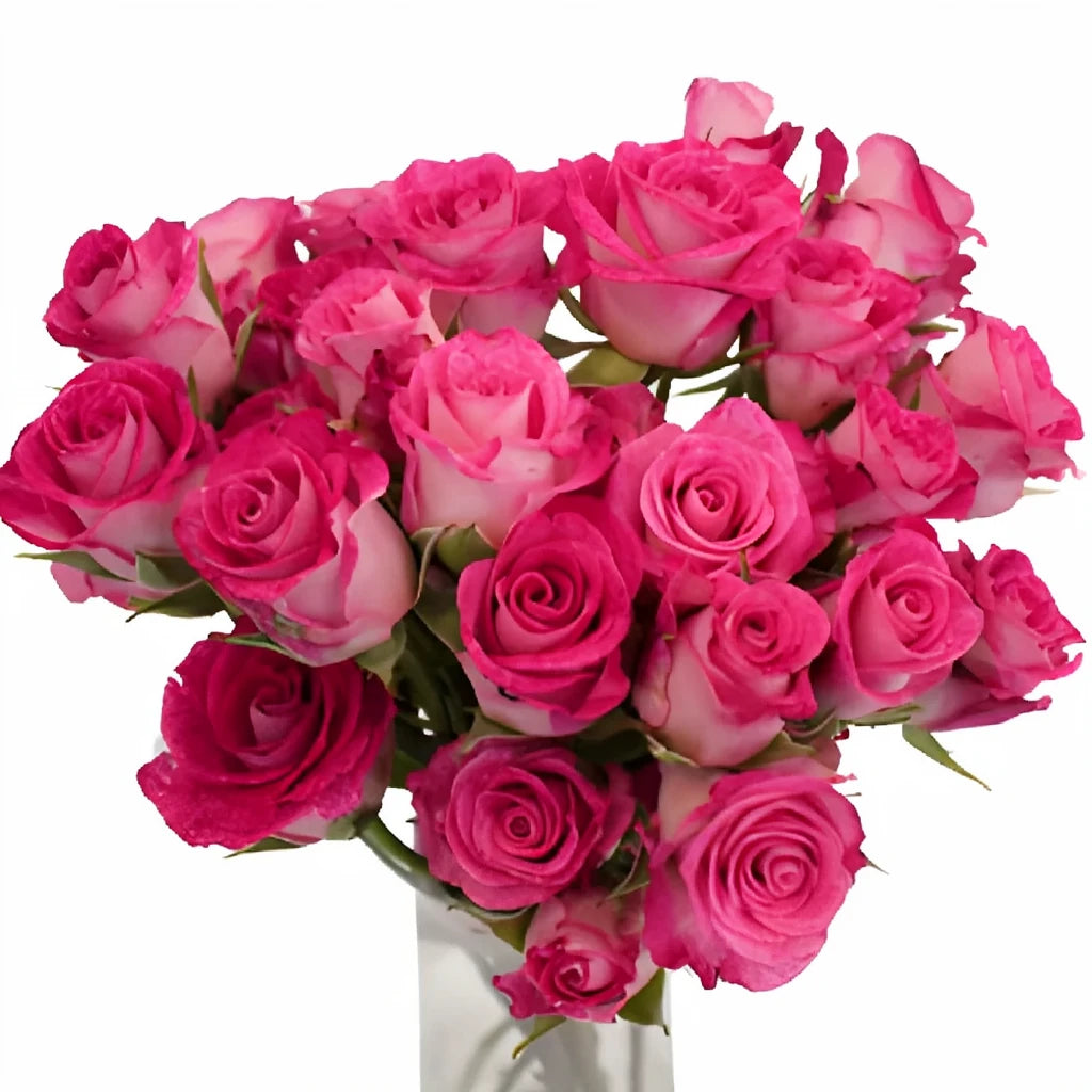 Cherry Folies Roses Spray - main