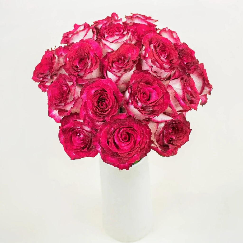 Cinderella Roses Standard - alternative 1