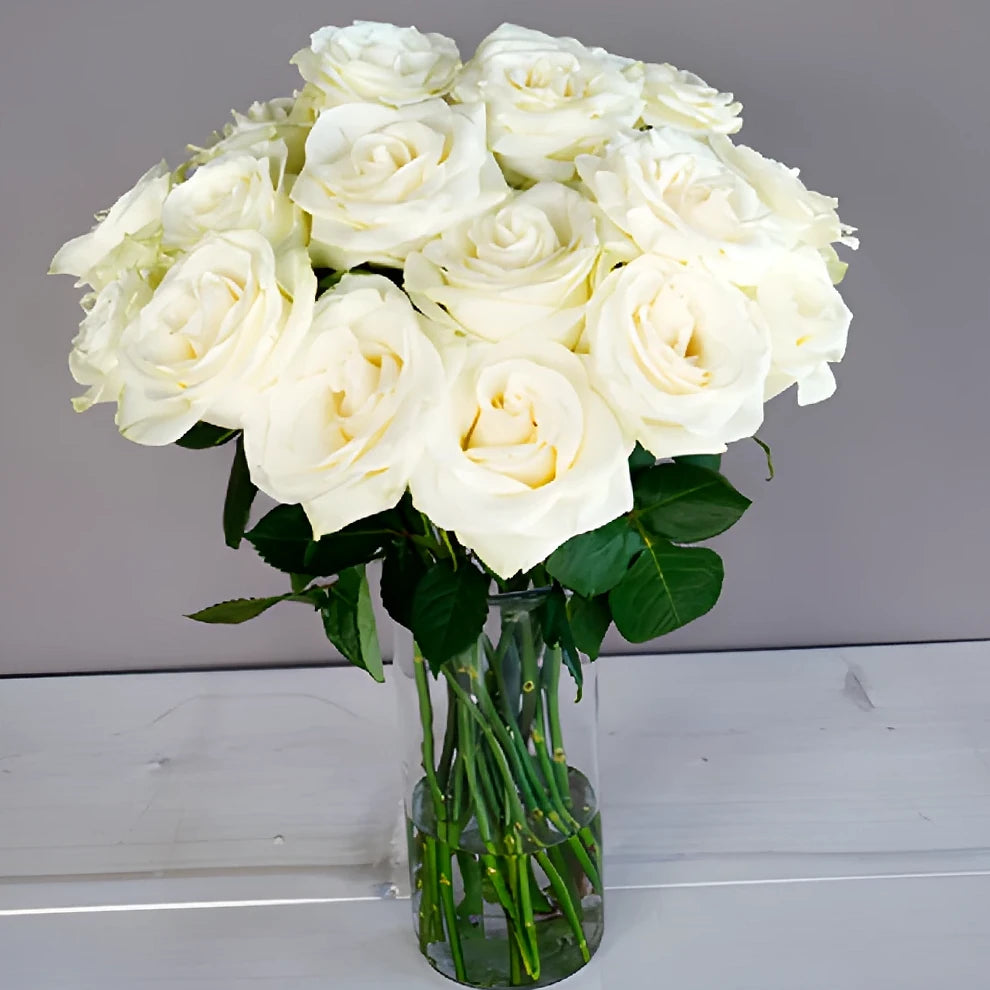 White Mondial Roses Standard - alternative 2