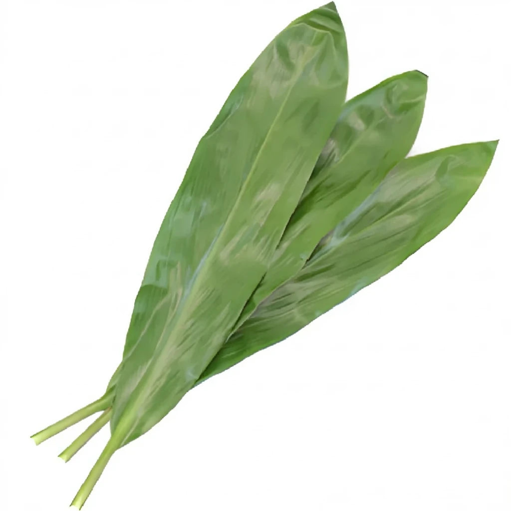 Ti Leaves Greenery - alternative 2